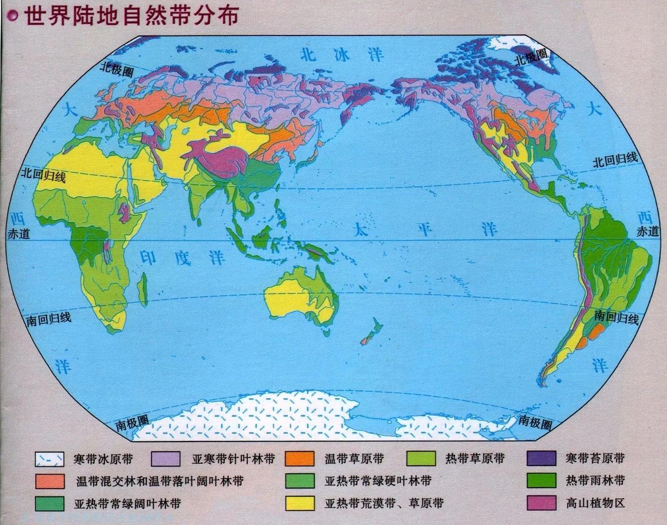 如果德国打败了苏联，世界会怎么样？