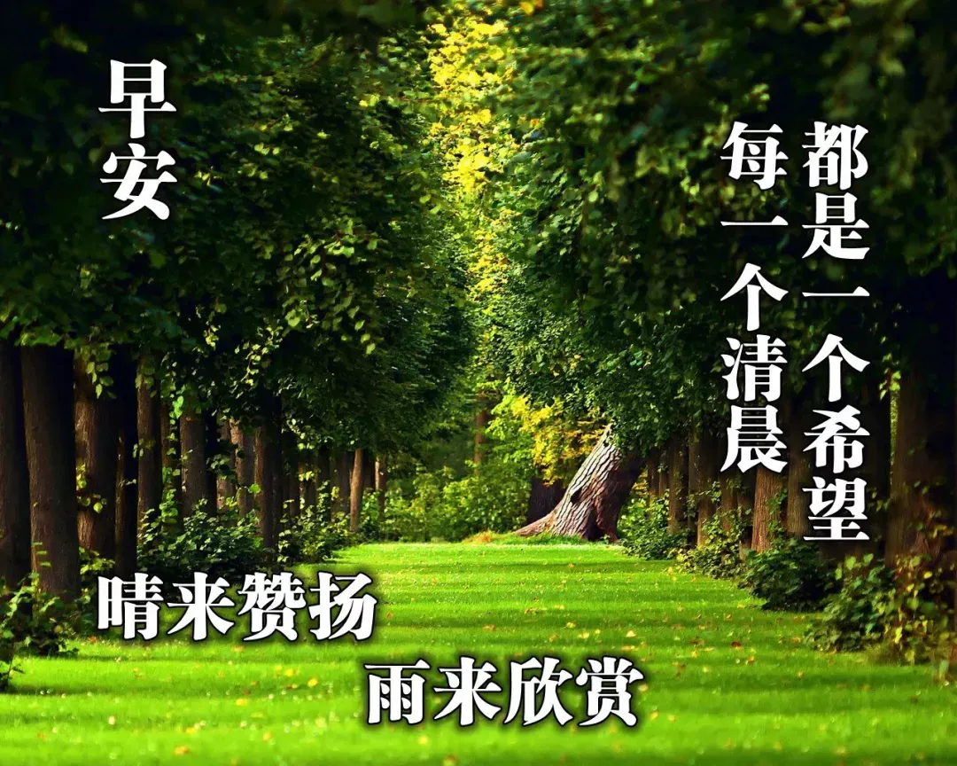 早上好图片加祝福语，早上好表情带问候语，早安图片