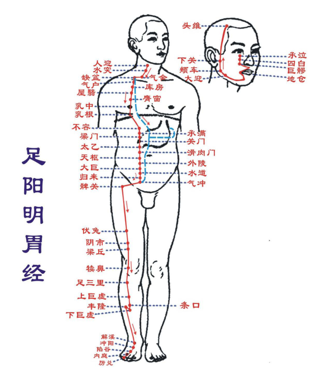 身体小毛病，按压8穴1经，帮助你预防小病变大病-第13张图片-农百科