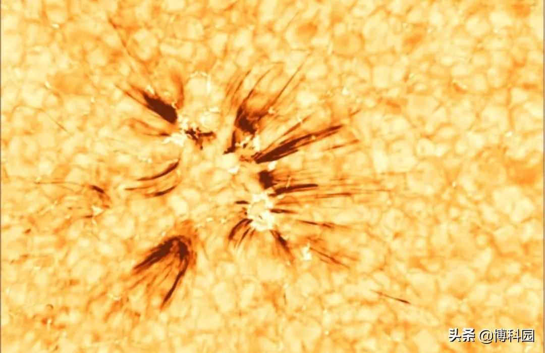 太阳射电爆发在湍流介质中产生，日冕中呈各向异性无线电波散射