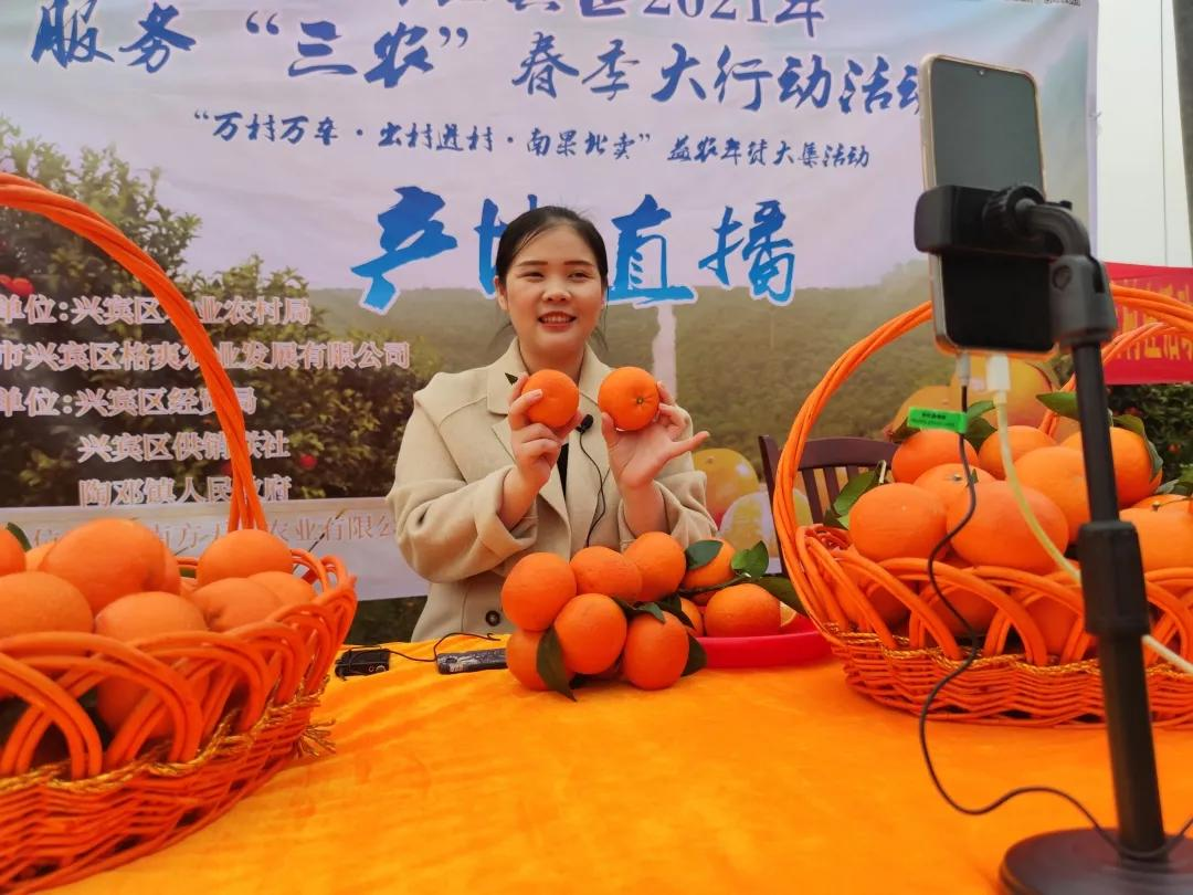 ������ɫ�ָ̣�����������԰��ֱ������������