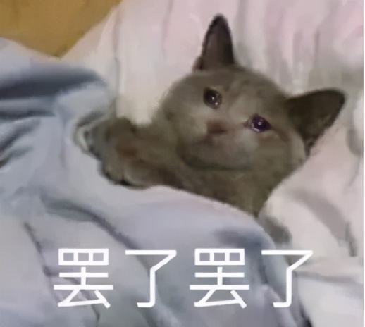 万国觉醒丨野战自带BGM？一场歌与剑的夏日嘉年华