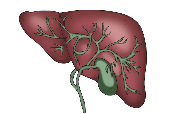 皮膚發黃，是什麼原因？ 皮膚主任建議多吃4種食物，有助祛黃