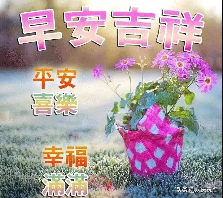 最新特别漂亮的早上好图片，早上好问候语温馨短句图片