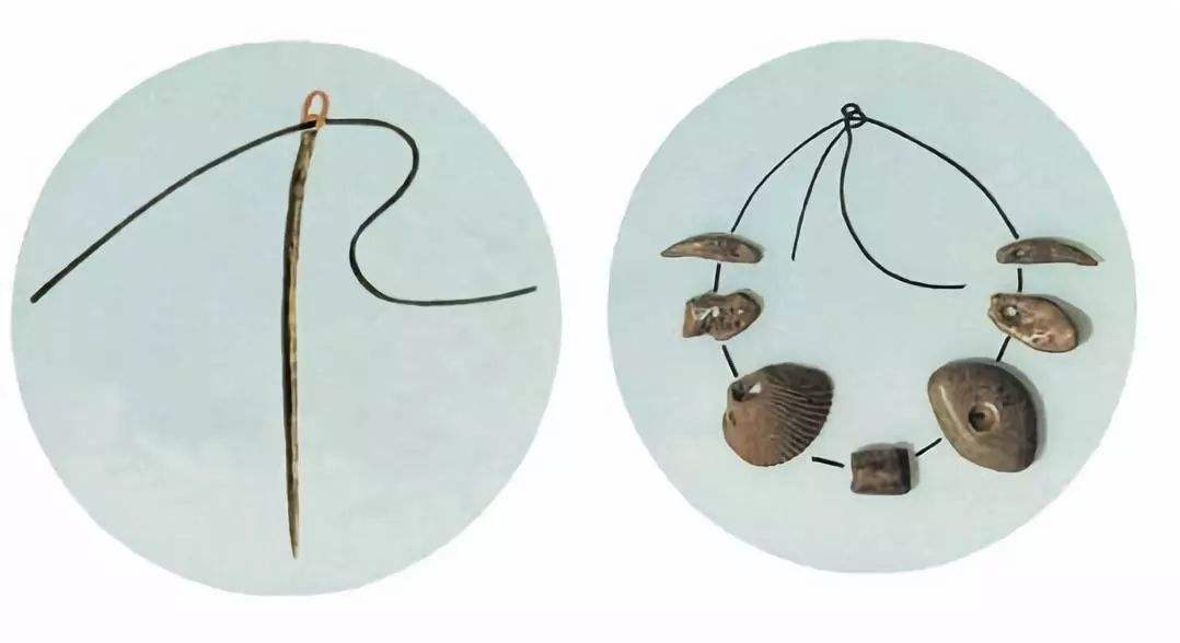 小小的缝衣针，大大的历史文化，一根缝衣针背后的故事