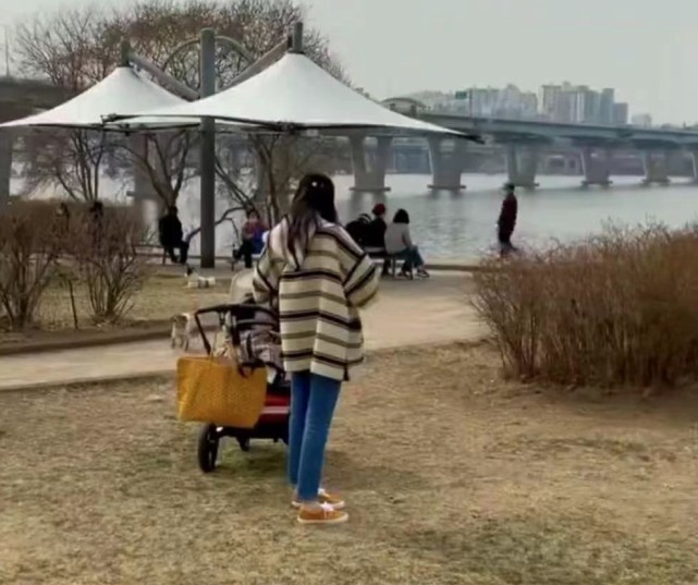 崔智友曬一家三口出遊照，小九歲神秘丈夫充當攝影師為妻女拍照