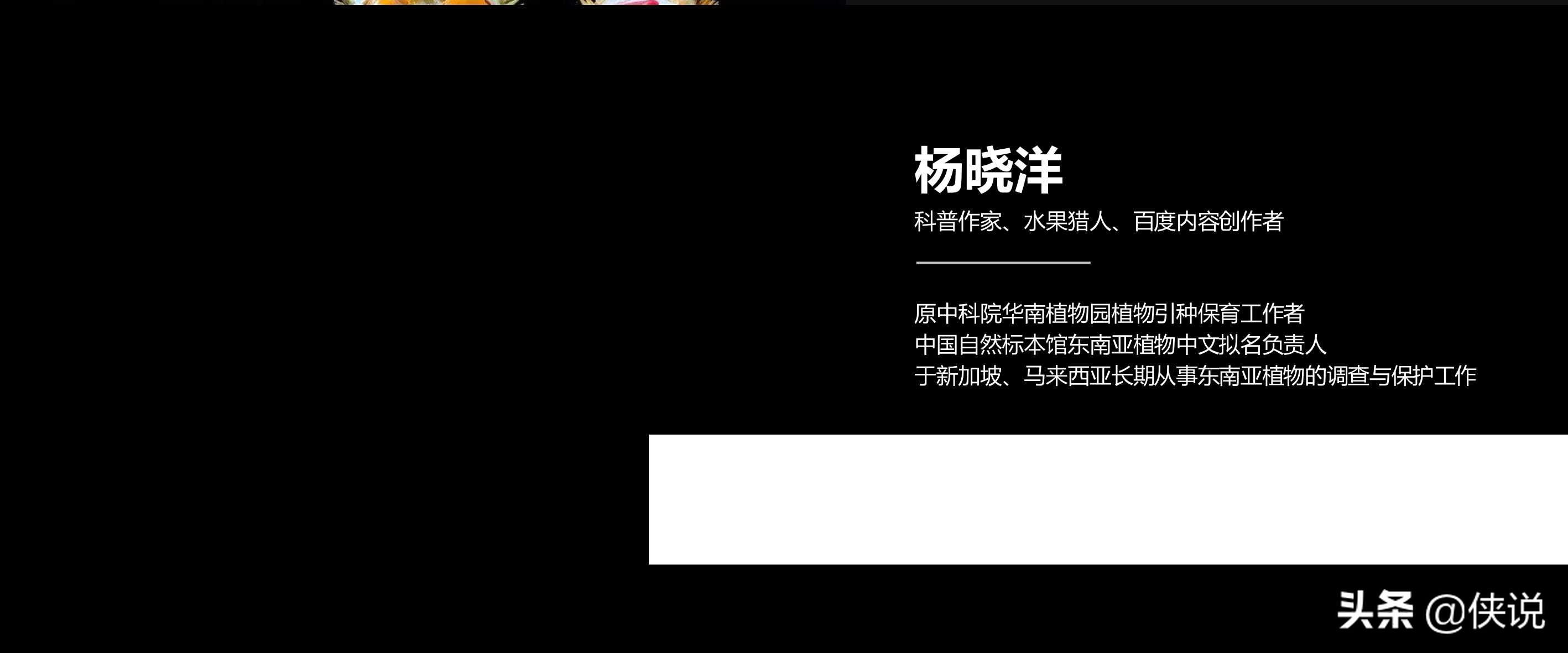 营销干货：21份最新2021新榜大会分享（全套）