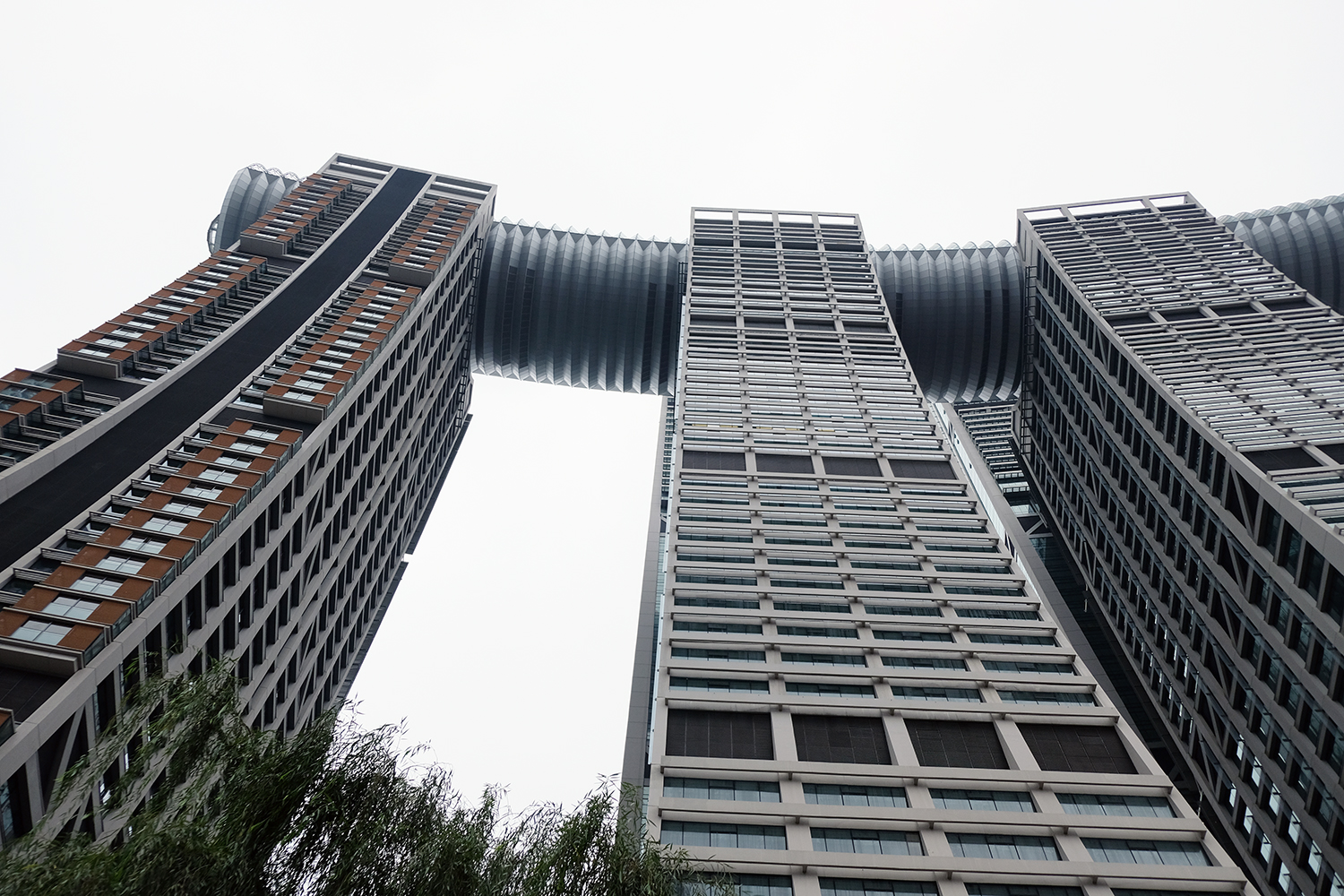 重庆一周大事件：点赞时代楷模毛相林，李雪芮回乡创业，气温骤降