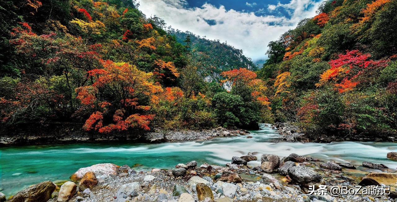 到四川雅安旅行不能错过的10大景点，有一处被称为中国仙茶故乡