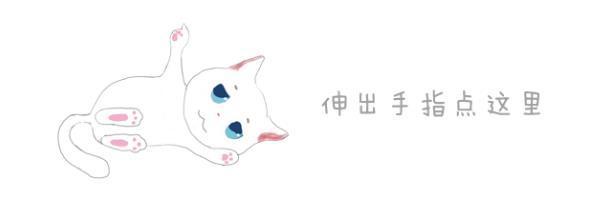 猫咪爱抢电脑无法工作？铲屎官轻松解决世纪难题