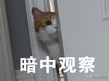 惊呆了，我的债券基金，5天亏4000块