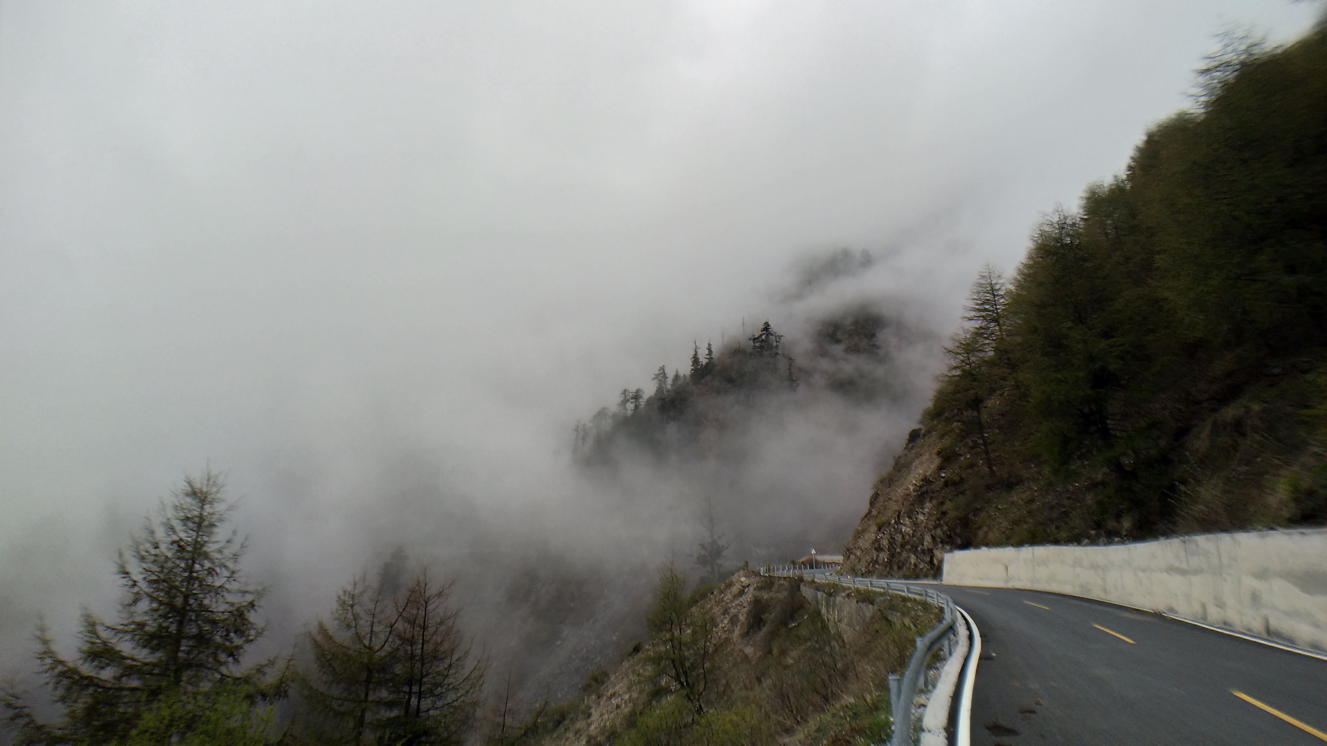 单人单车穿越雅安夹金山森林公园：体验一日四季轮回