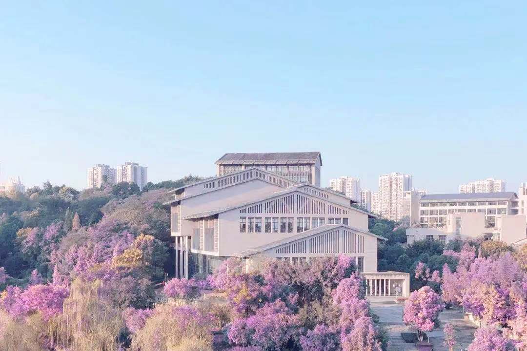重庆考生首选的2所高校，一个过线就能上，另一所211性价比很高