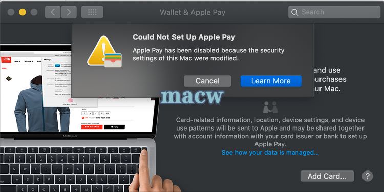如何在Mac上设置和使用Apple Pay