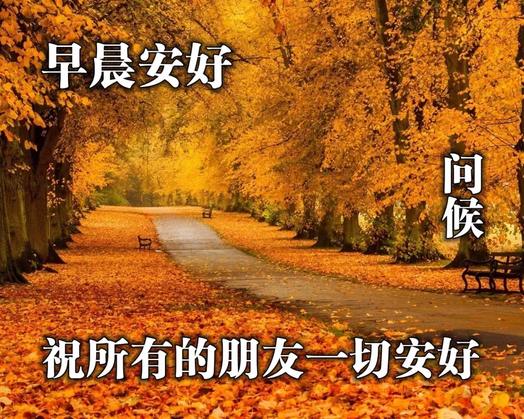 早上好图片加祝福语，早上好表情带问候语，早安图片