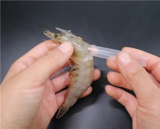 好百邻保姆分享两招去虾线的方法不仅方便还实用