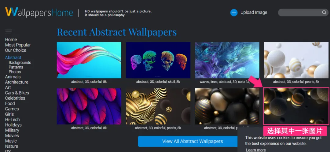 零基础如何制作作品集？