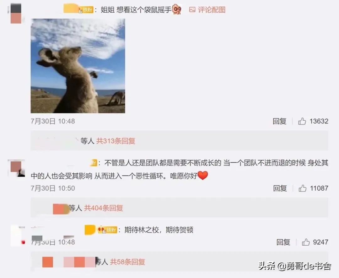 “自毁前程，杨紫可惜了”