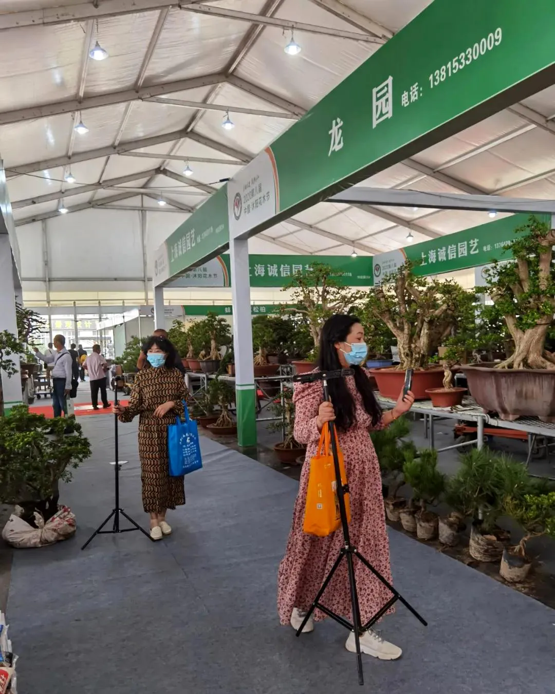 江苏沭阳：国庆时期花木买卖额达8.2亿元