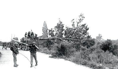 板门店一颗白杨树，差点引发二次朝战，朝军当场砍死2名美军