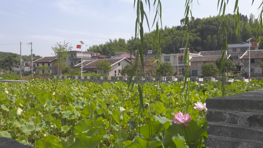 南丰：推进农村环境整治 守护乡村美丽颜值