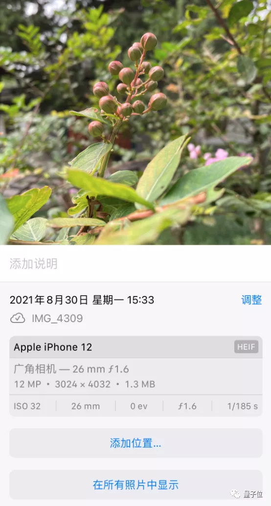 苹果iOS 15发布：关机也能定位，ASMR用户狂喜，又"去苹果化"了