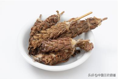 小暑來了，三伏天還會遠(yuǎn)嗎？這幾種降暑茶，伴您清涼度夏