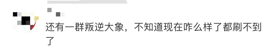 “差点忘了，太空还有三个中国人”！网友：最近地球有点忙