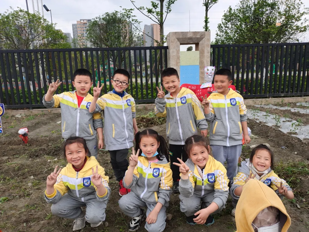 双流区实验小学外国语学校丨最美人间四月天 幸福农场齐生长