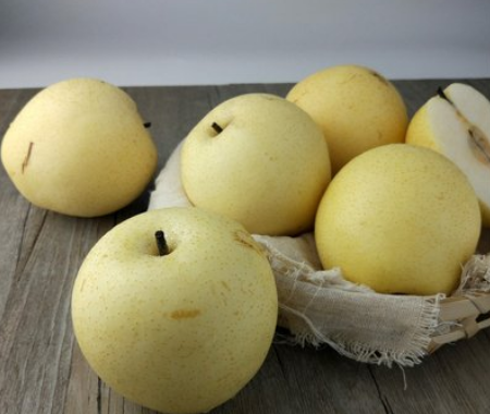 梨区辞旧迎新季：只要制冷技术好，梨子也能缓