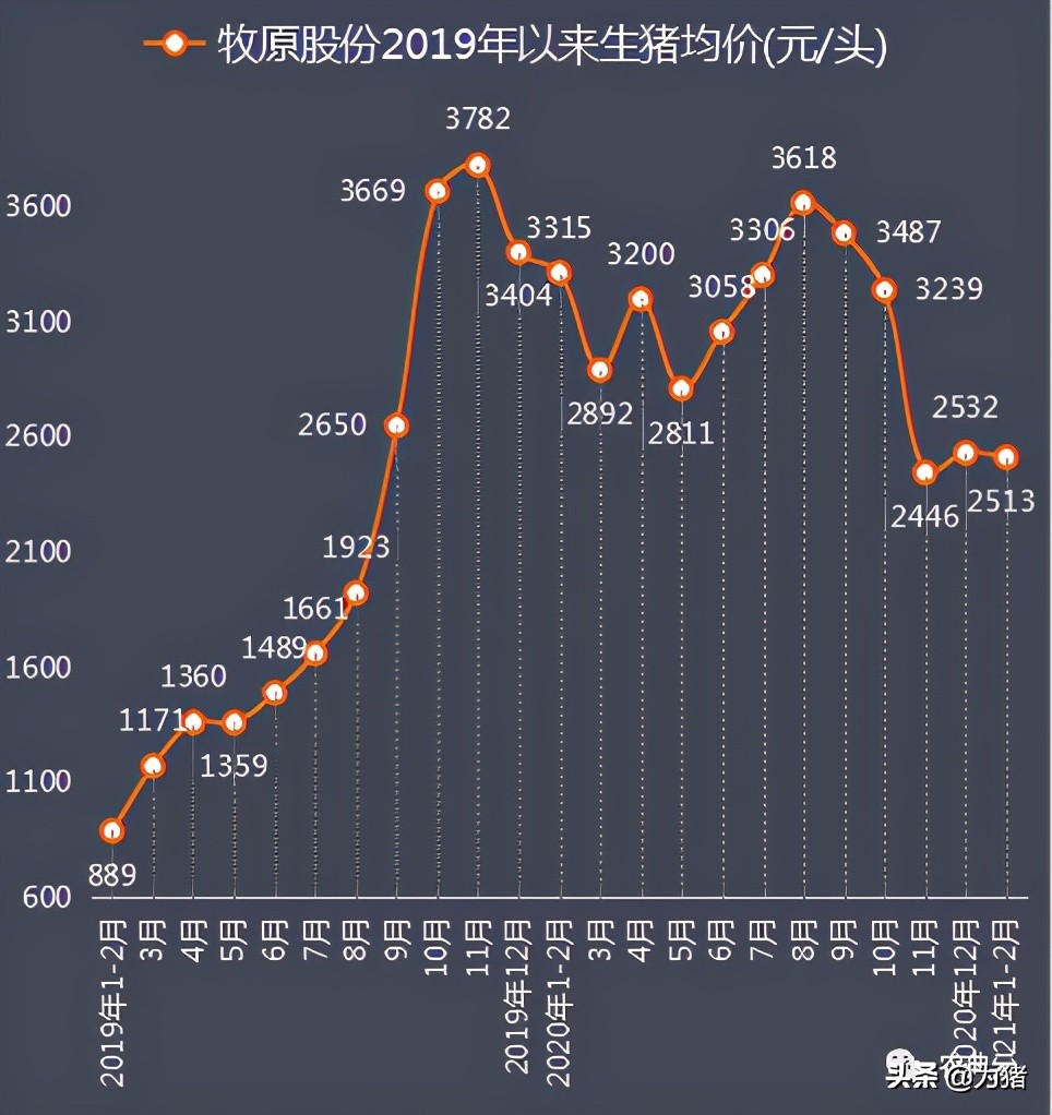 头部猪企1-2月全线放量，牧原股份销量暴增250%