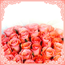 表情|情人节动态表情微信图片大全2月14日情人节快乐祝福语情话大全