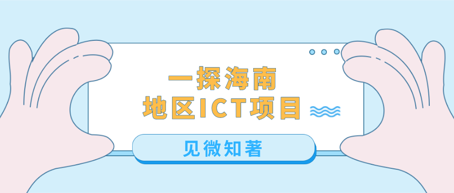 2020年海南地区运营商ICT项目中标情况分析