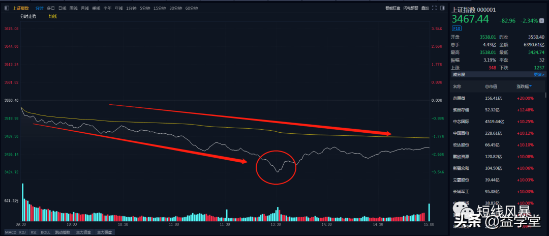 A股大跌的原因是什么？到底是谁在砸盘杀跌？