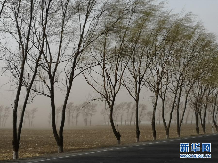 �й���ʳΣ�������������ڱ�ƣ�ǧ���궫������50������ʧ