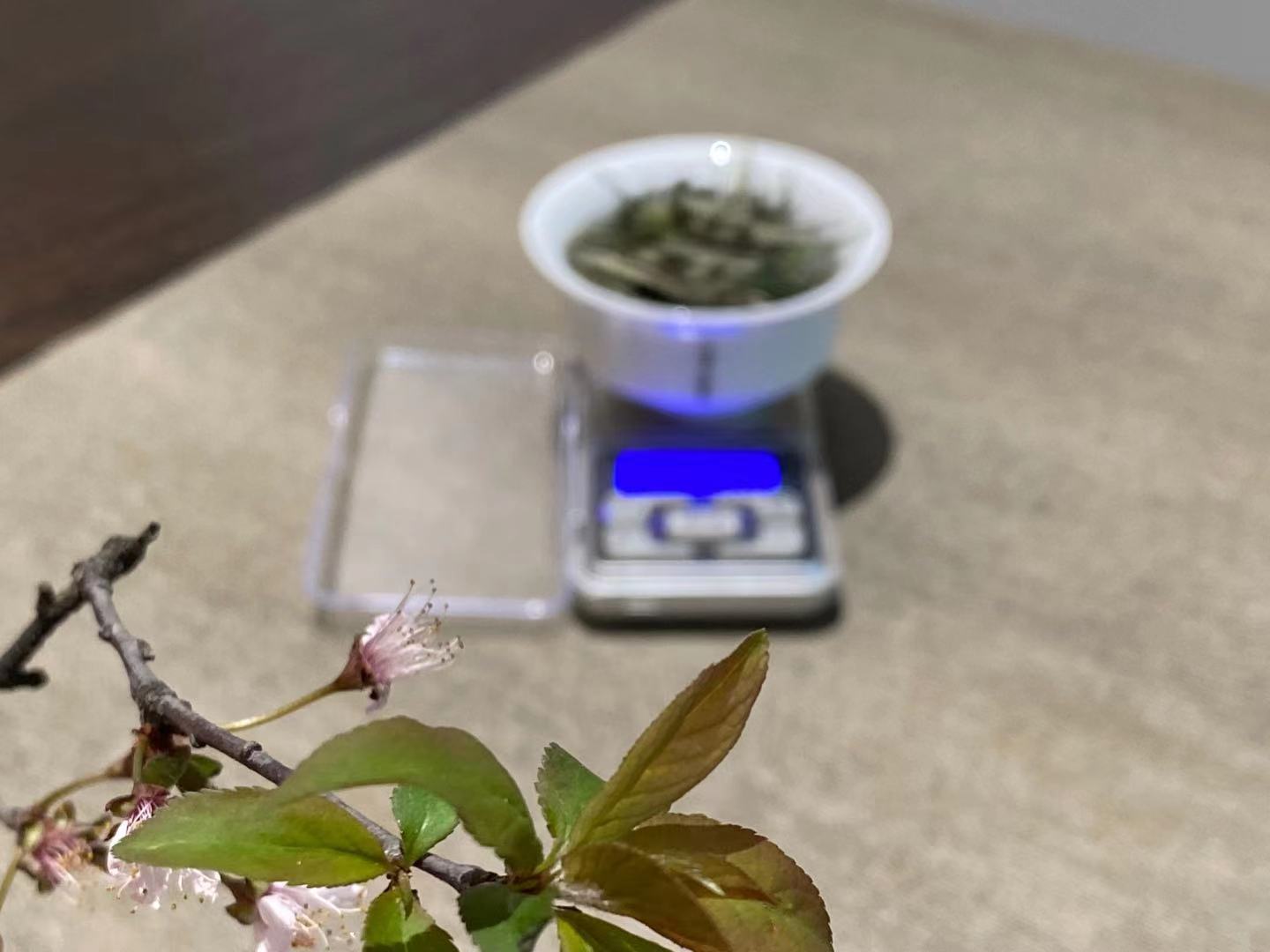过期的茶叶能喝吗？绿茶、白茶、红茶，过期5年了怎么办？