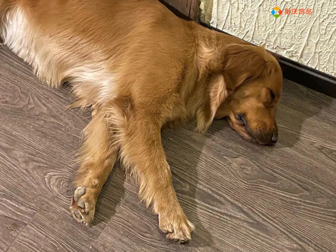 ​重庆小两口环游中国：在泸沽湖被冻得发抖，只能吃自热锅和泡面