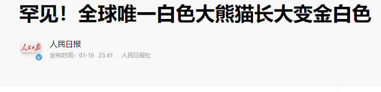 全球唯一白色大熊貓現身，沒有黑眼圈，消失多年物種也不斷出現