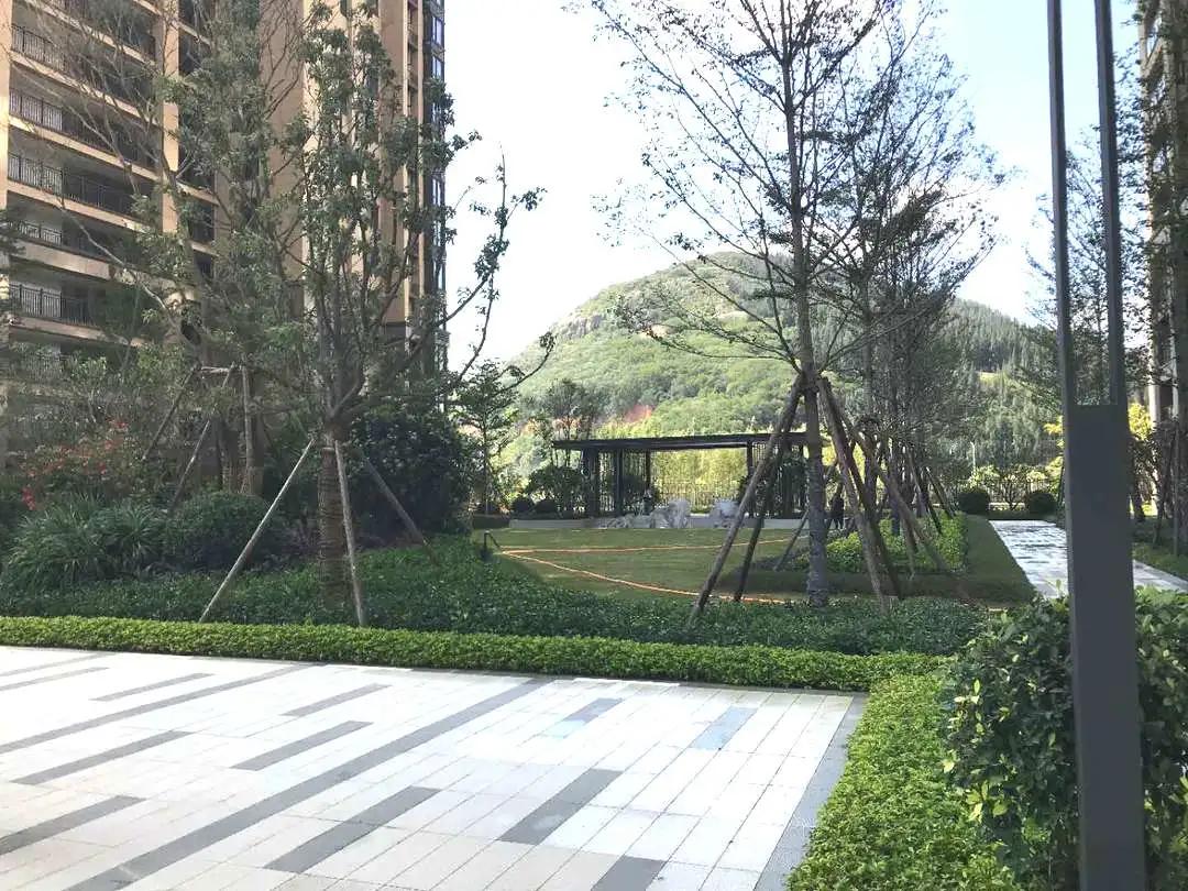 家期已至，静候君启