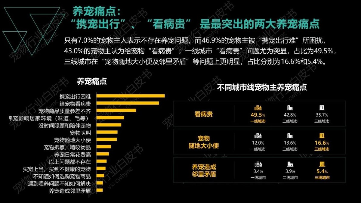 氪金火烧到宠物市场，年轻人凭什么愿意买单？