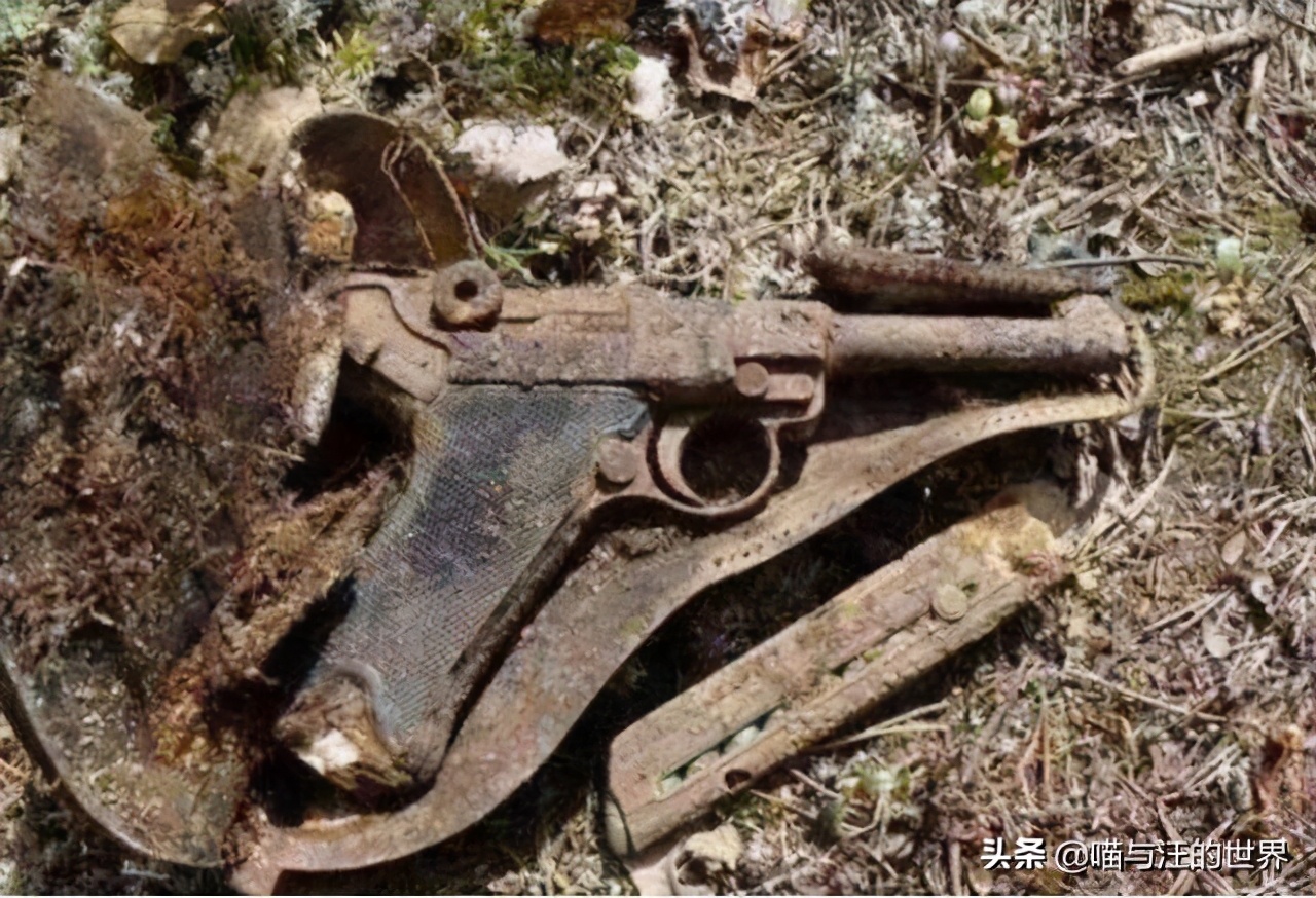 俄罗斯“挖土党”赚到了，发现大宝贝，这次不