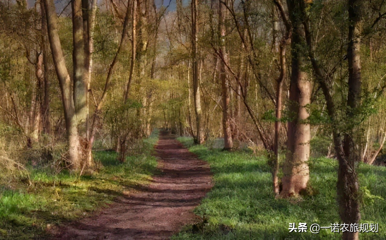 大旅居时代——康养旅居地产华丽登场