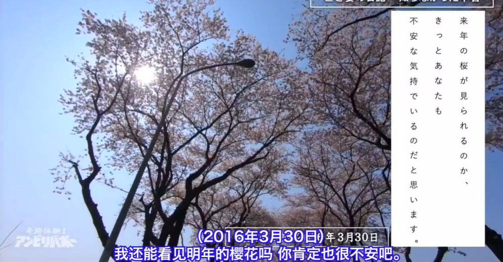 日本主妇去世后，生前日记遭曝光，揭开了一段长达52年的故事