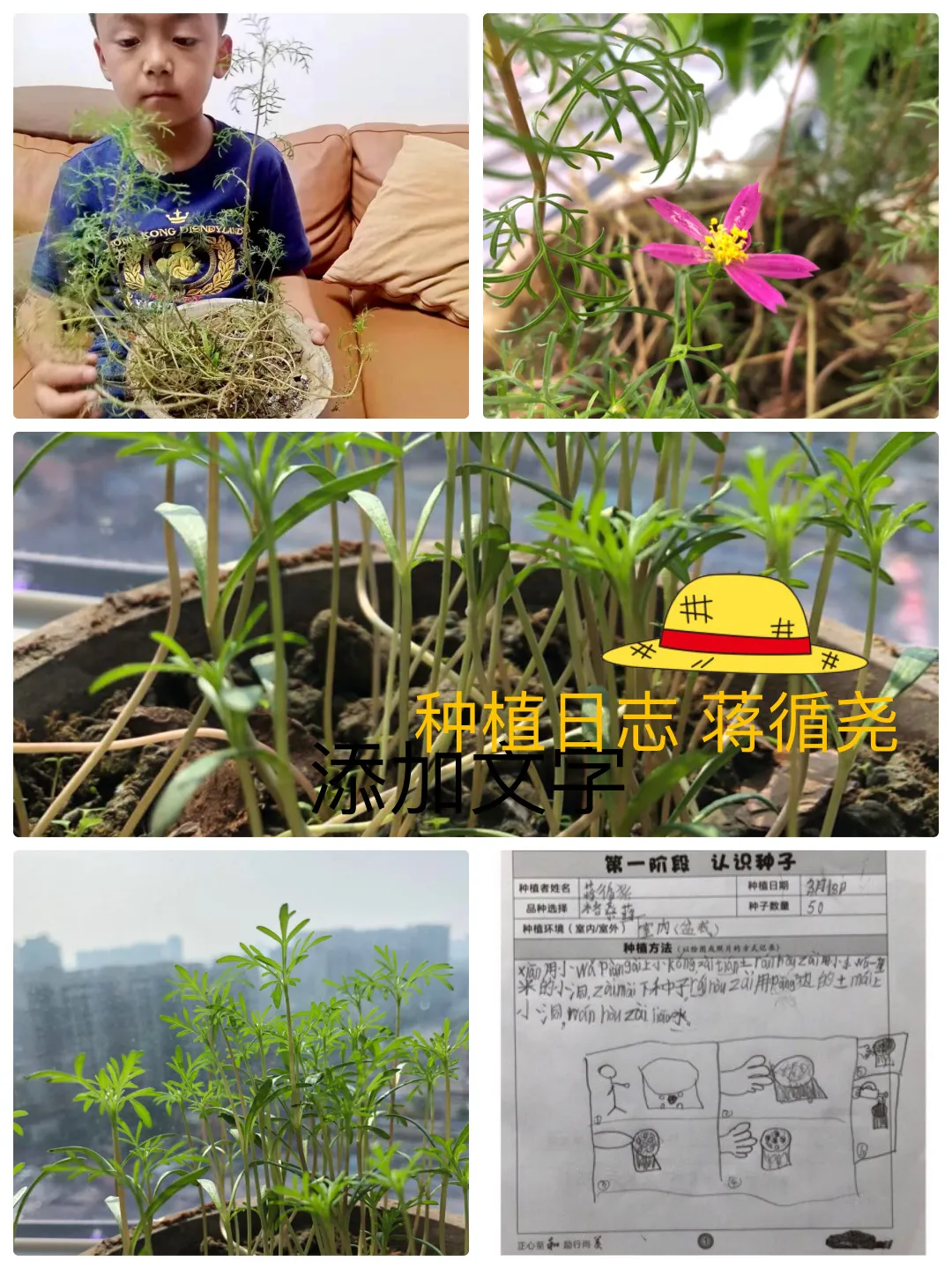 成都高新区中和小学开展“种植劳动”主题课程