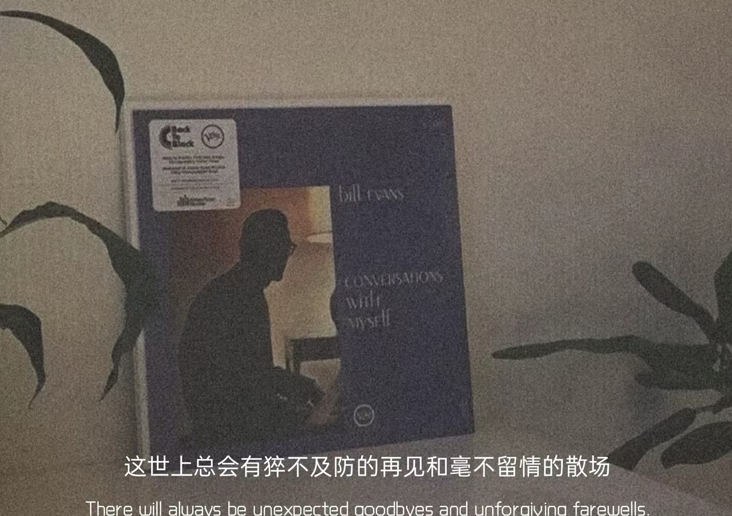 文案：记得刚开始我只是好奇你的名字.