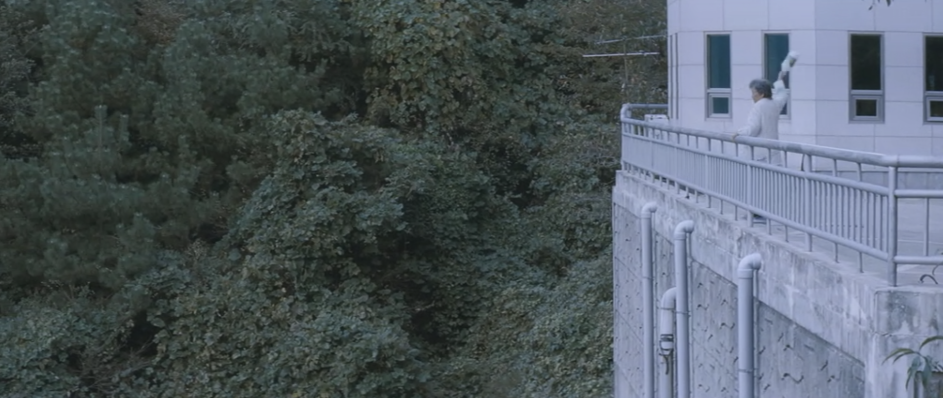 7次反转，“恋母”引发的命案，我是压着火看完