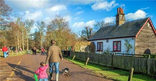 农民翻修房子，意外发现1500年前金库，宝藏归属