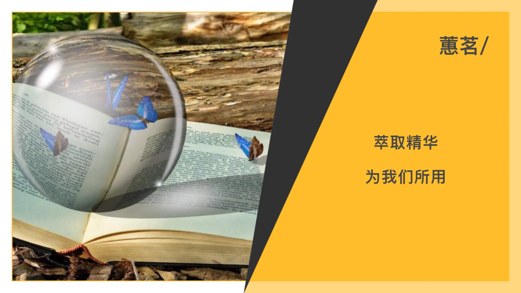 情绪ABC理论：疫情复工后，你更要掌握这点做自