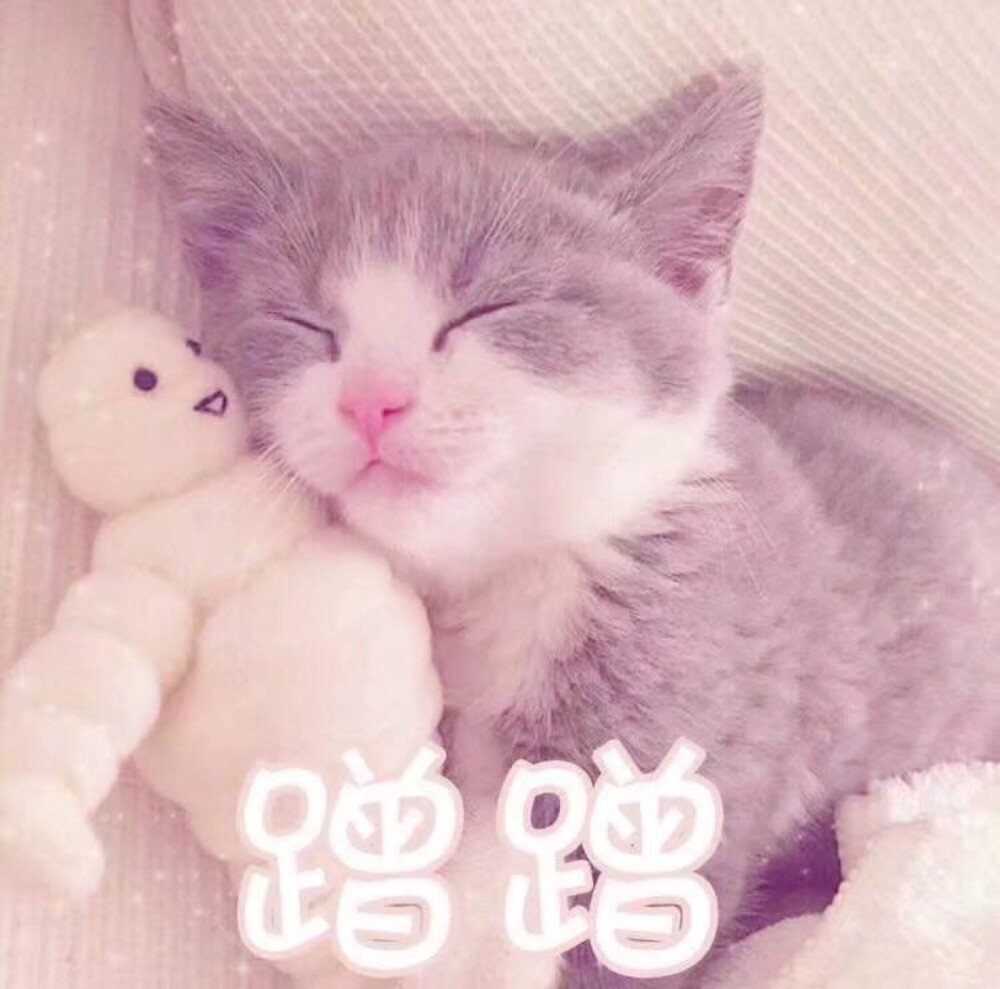 很坏很甜很撩的情话短句 温柔到爆的神仙句子图片