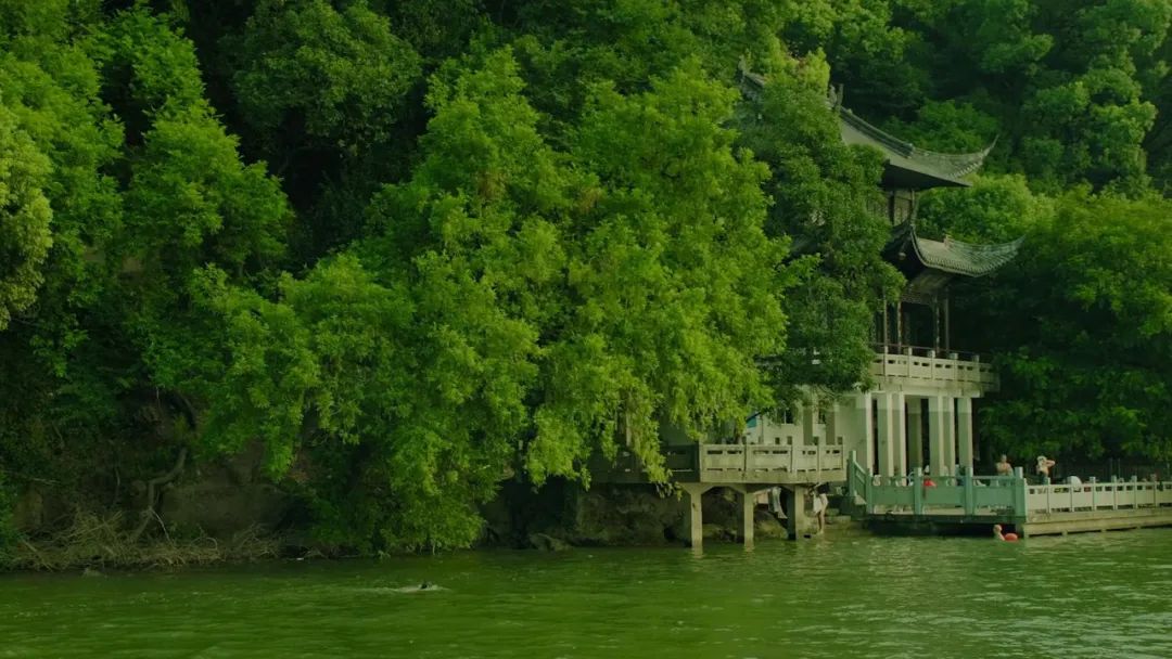 片中演员90%是导演亲戚，一波“虎”操作后，竟